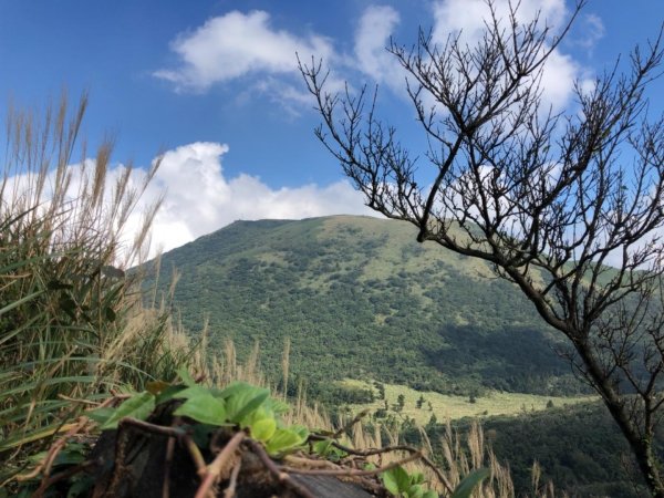 大屯山西峰542118