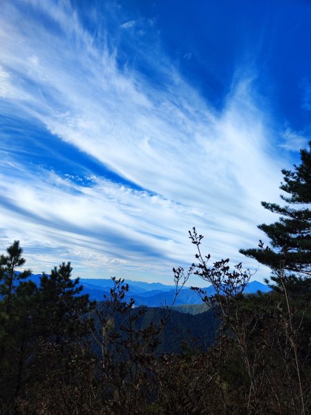 單攻志佳陽2725306