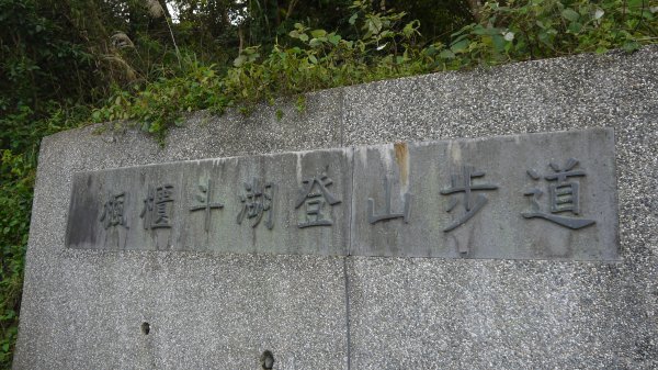 觀音山登山健行趣(小百岳05號)1632327