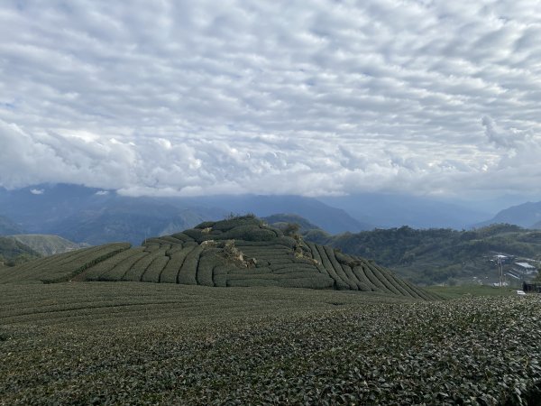 20250119二延平步道2716343