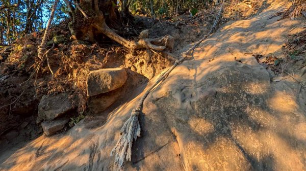 大橫屏山步道2977338