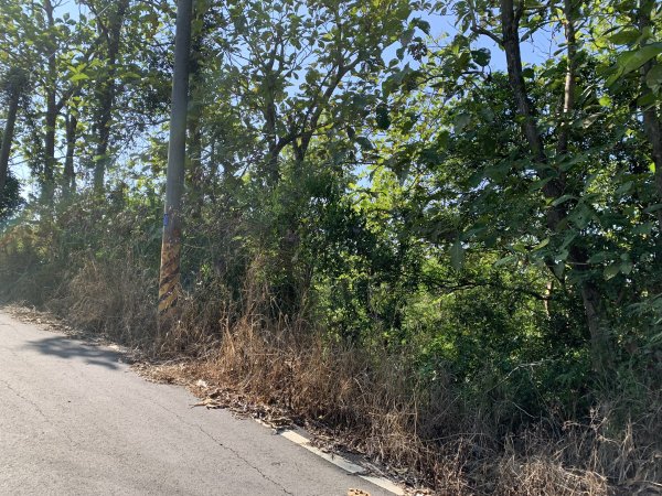 20251115台南大尖山2938081