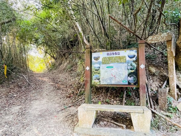 1141207金童山2957739