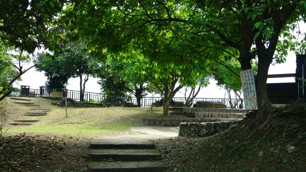 20200414七星嶺步道 星嶺公園1495661