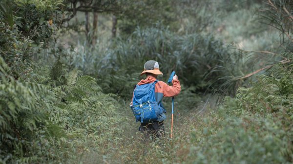 探訪台北溪流之美｜桶後越嶺古道（礁溪-烏來）2911749
