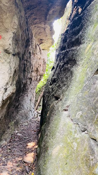 雲林古坑|峭壁雄風、幽情谷、青蛙石、水濂洞|一次看到8各景點的超高CP值步道2070397