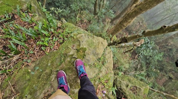 馬武督山西南峰+馬武督山O型走3012859