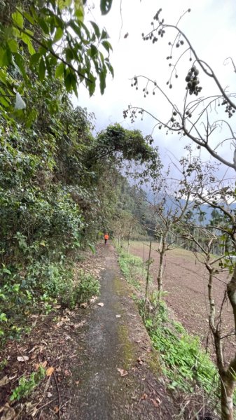 過坑山快閃2685073