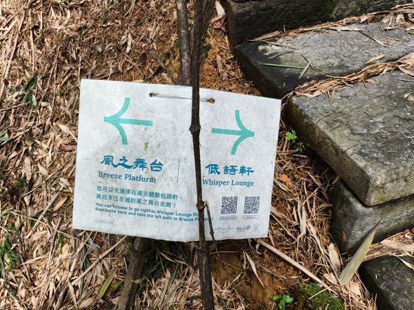 【石壁】五元二角連走木馬古道O繞2871569