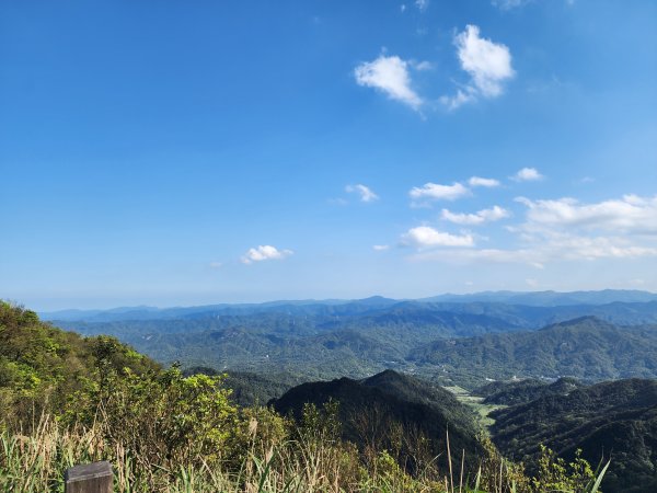 20250322-姜子寮山2740007