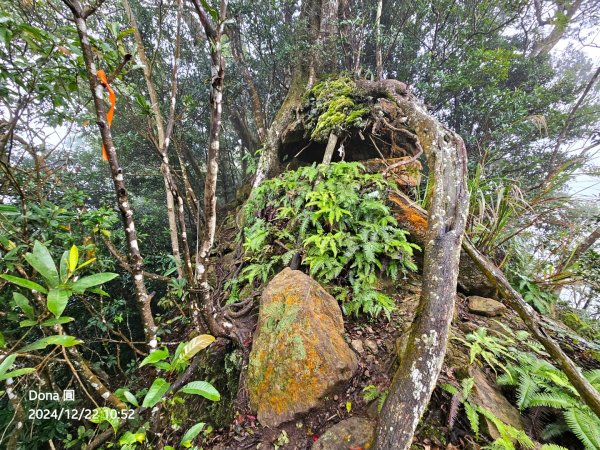 【苗栗郊山聖稜線】仙神象18連峰大縱走2675855