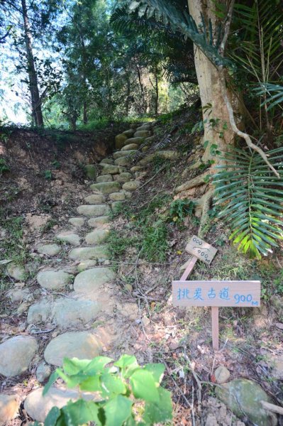 20241208三銅縱走(三義山-三通嶺-長道坑山-九華山)2664872