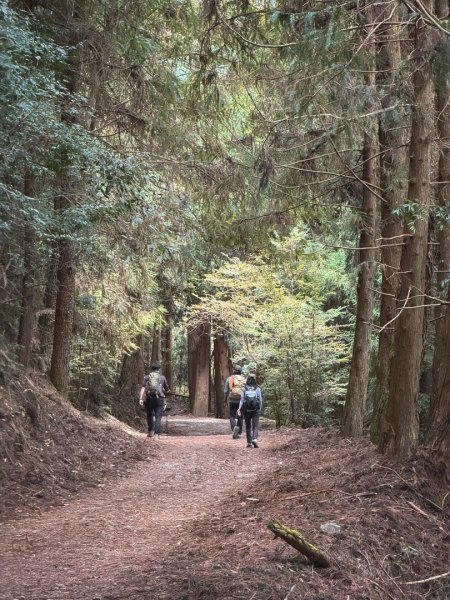 雪見遊憩區 探訪森林雪見之王2950843