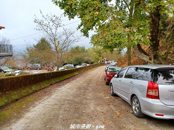 【苗栗。大湖】喜見雲海。 小百岳集起來。 編號37小百岳馬那邦山1509698