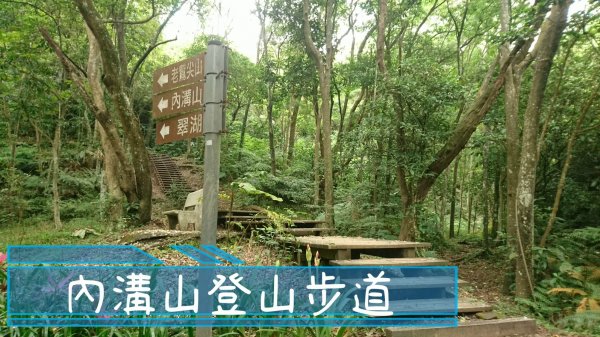 [新北汐止] 內溝山登山步道（翠湖-內溝山-老鷲尖山）