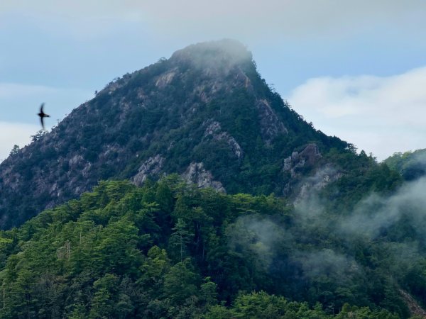 稍來山-小百岳#39-台中市和平區2654123