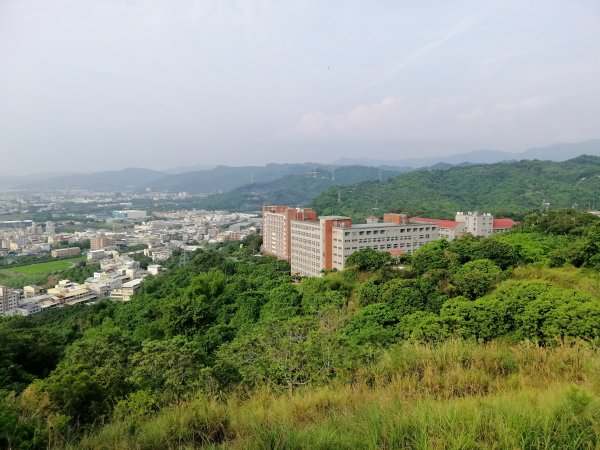 散步賞景。編號46小百岳~阿罩霧山752794