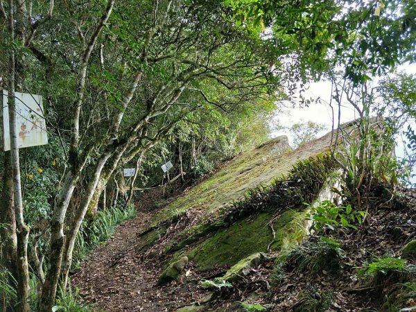 嘉南雲步道、石壁山、好望角434435