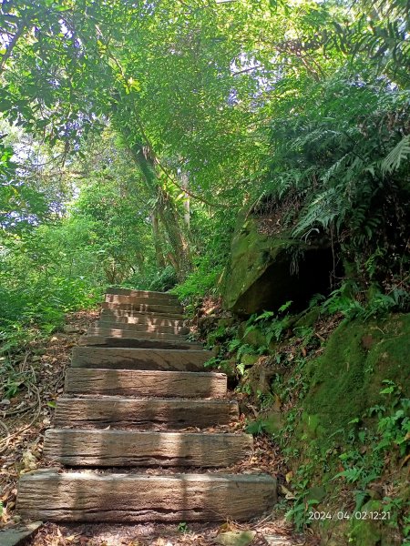 【臺北大縱走 7】樟山寺→國立政治大學 & 獲得第一回合「全程完成證書」2471687