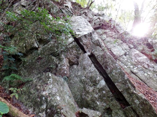 谷關七雄~波津加山293404