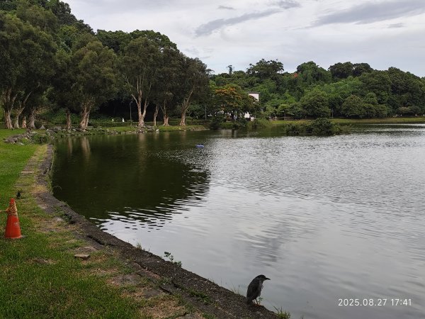 大稻埕、大港墘公園、瑞陽公園、碧湖公園步道【臺北健走趣】2874239