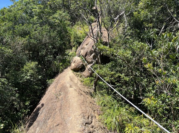 [微笑山線_第九段] 2025_0914 二格山系_天王峰2889566