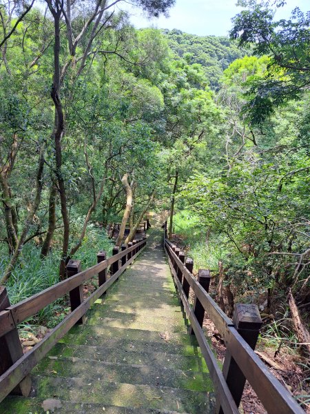 龍井竹坑南寮步道(C去主回)+竹坑山2263075