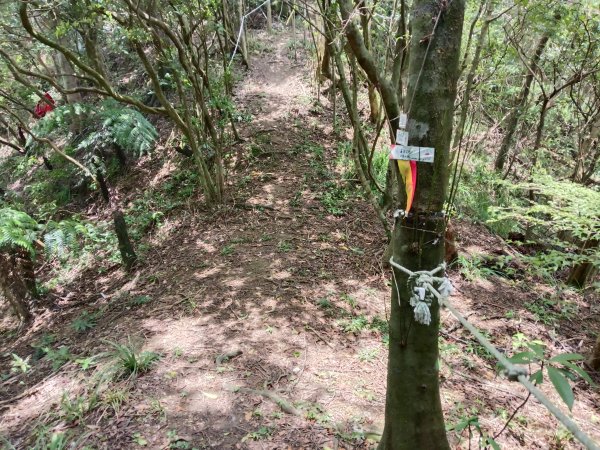 平溪區平溪子山遇雷雨O型2850135