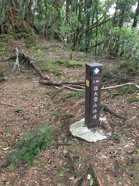 大雪山稍來南峰434709