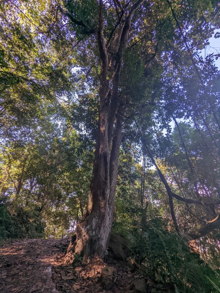 谷關七雄：崩壁瘦稜美景的白毛山1891265