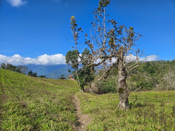 萬人山、六十石山（小百岳）2999876