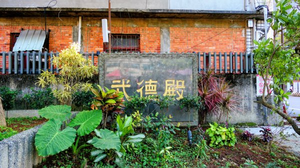 落羽松大道,龍潭大池2976224