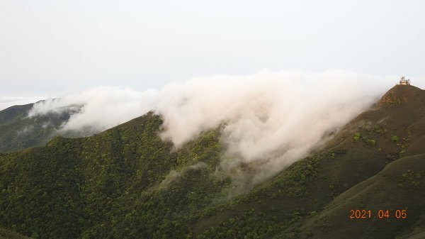 0405陽明山再見雲瀑，今年以來最滿意的一次1335484