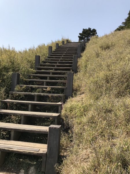 110年4月3日南投 合歡山東峰步道1433074