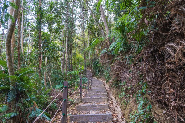 [南投]後尖山3015580