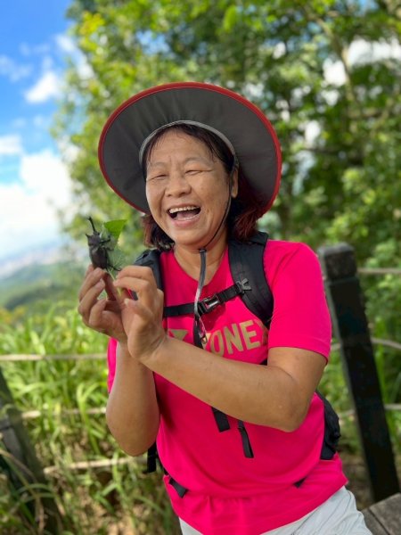 大坑1號和2號步道2826390