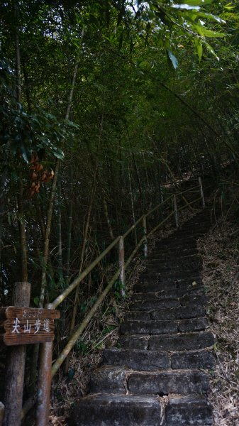 大湖尖山 鳳凰瀑布 紫雲寺1288595