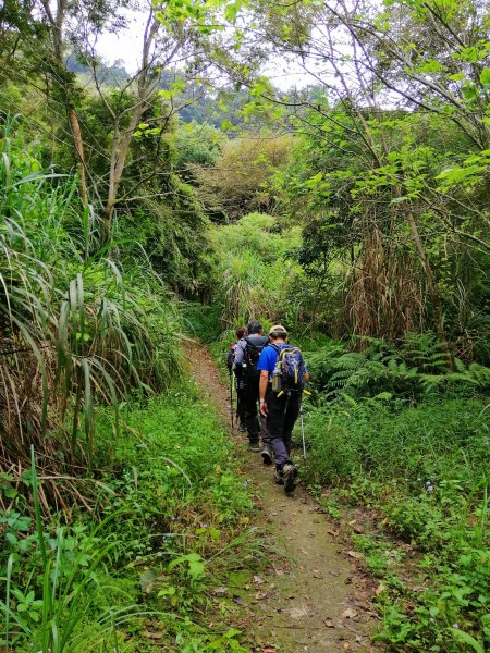【苗栗大湖】台灣百大必訪步道~馬那邦山1173184