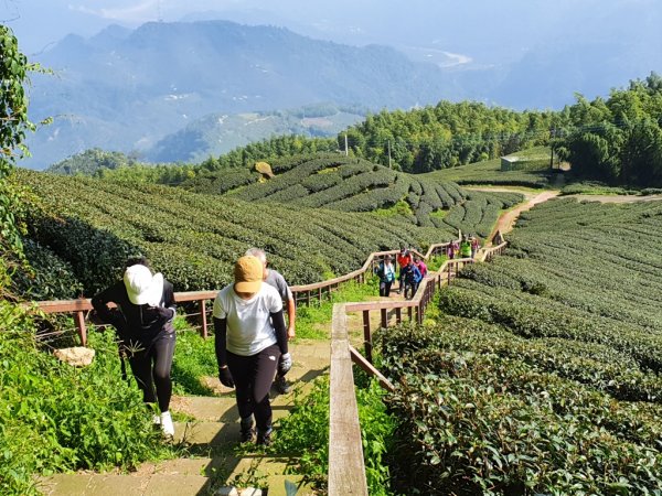 【雲嘉】後棟山連走大二尖山1478456