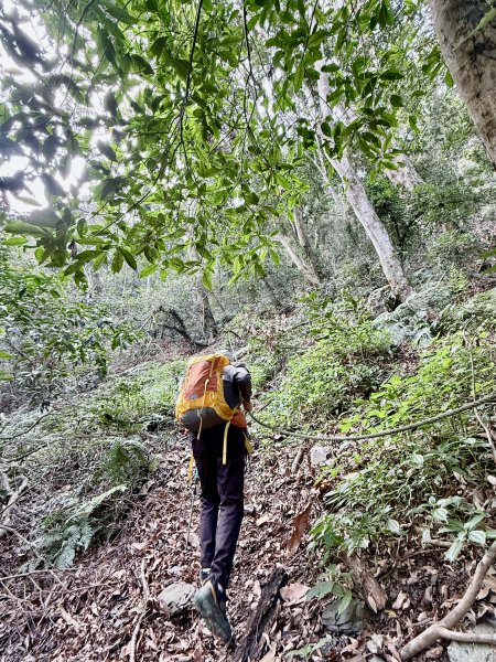 完登新南橫三星-馬馬宇頓山   2026.3.273027523