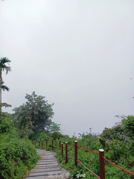 【嘉義竹崎】說好的稜線風景呢。阿拔泉山稜線步道連走獨立山O繞2684134