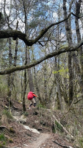 秀林塔次基里溪古關原3027634