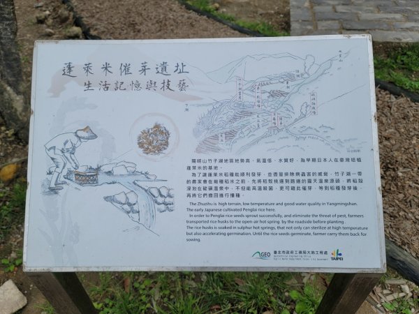 20230404_走遍陽明山_環七星山人車分道-陽金公路段2094490