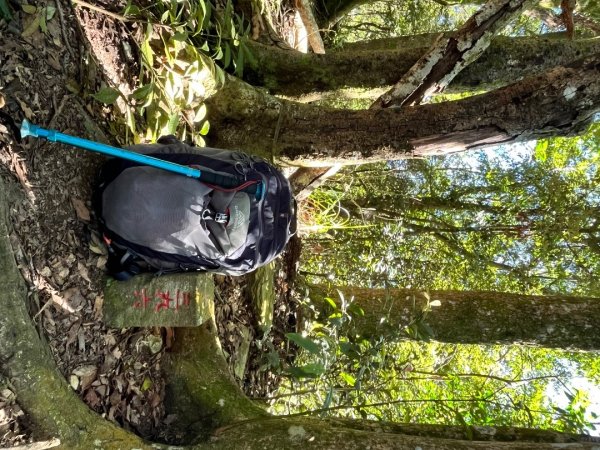 20251116_鳴海山（高雄小百岳）2941564