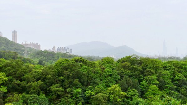 白雲派出所。蒙格不驚2759916