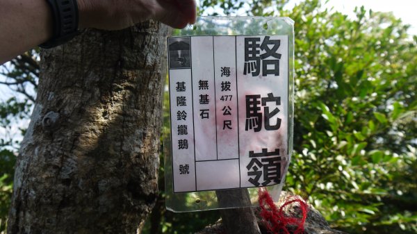 觀音山登山健行趣(小百岳05號)1632407