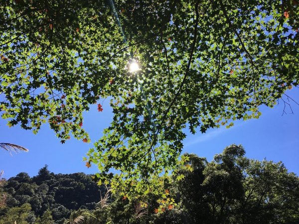 艷陽高照加里山.哈堪尼山縱走賞