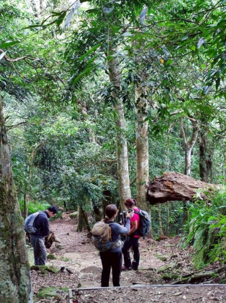 馬那邦山（珠湖登山口）2933948