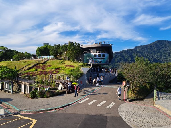 2026微笑山線樟樹步道3103317