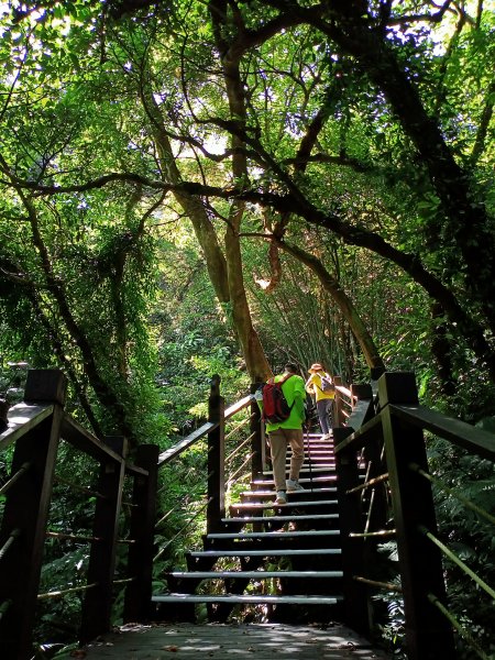 【臺北大縱走 7】(2-2) 指南宮貓空親山步道拓印亭→樟山寺1476443